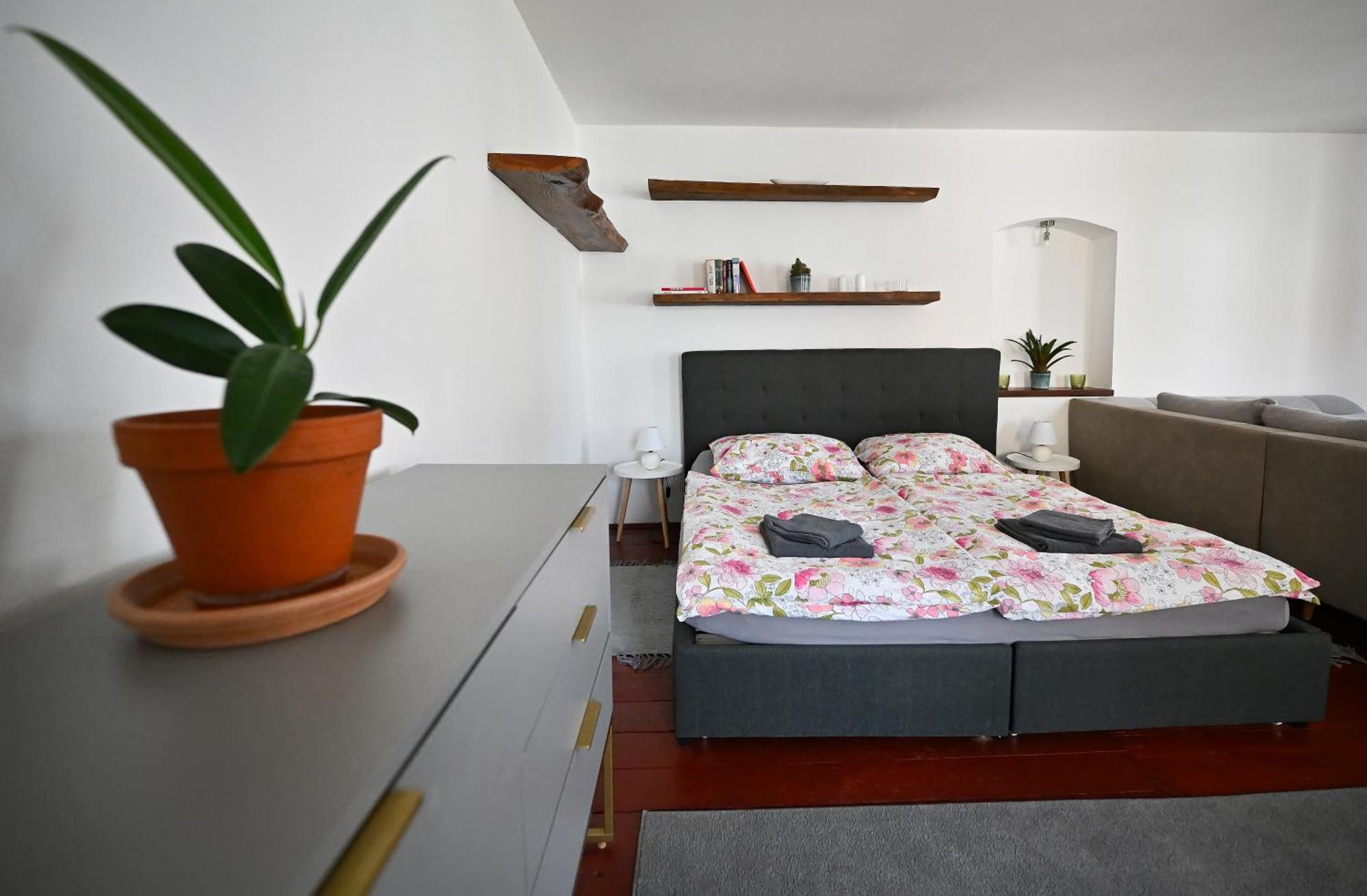 Apartman U Spinaru Třešť Extérieur photo